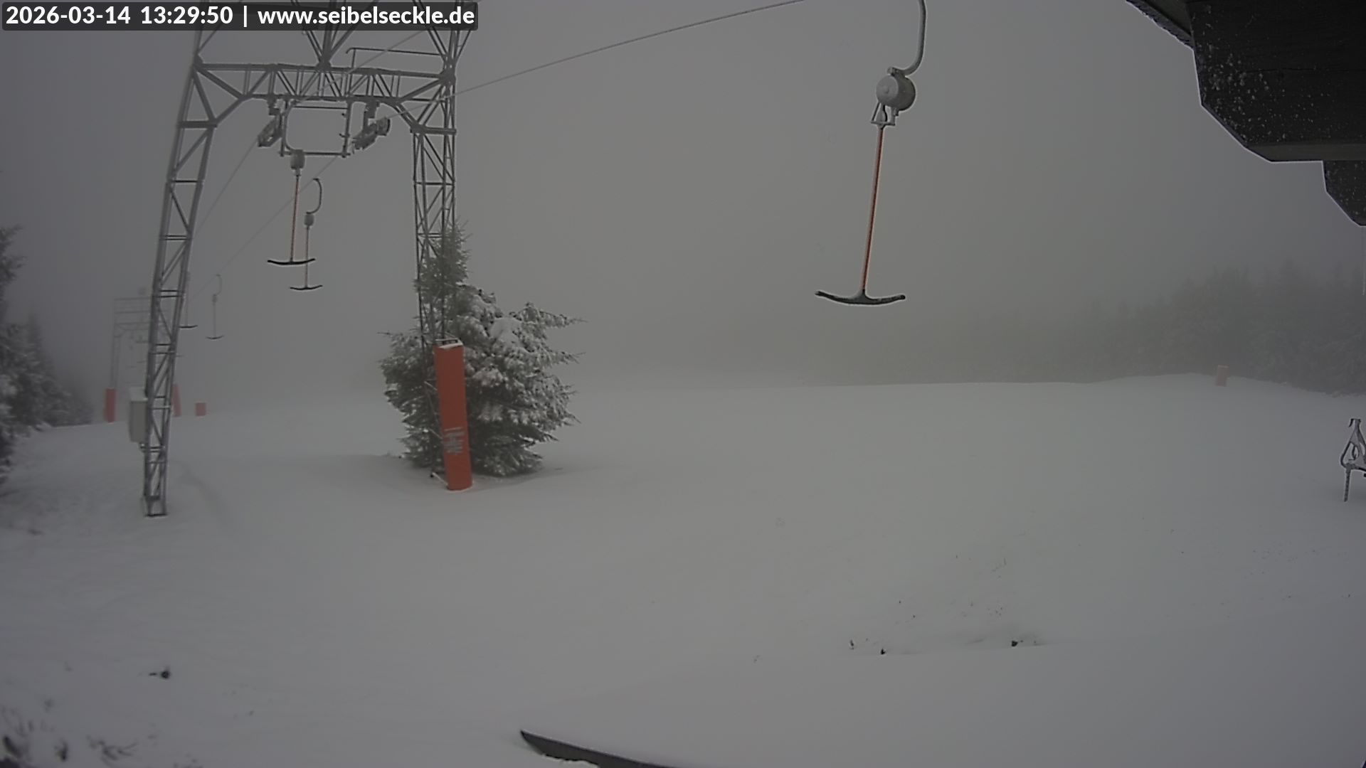 Webcam am Skilift Seibelseckle im Schwarzwald